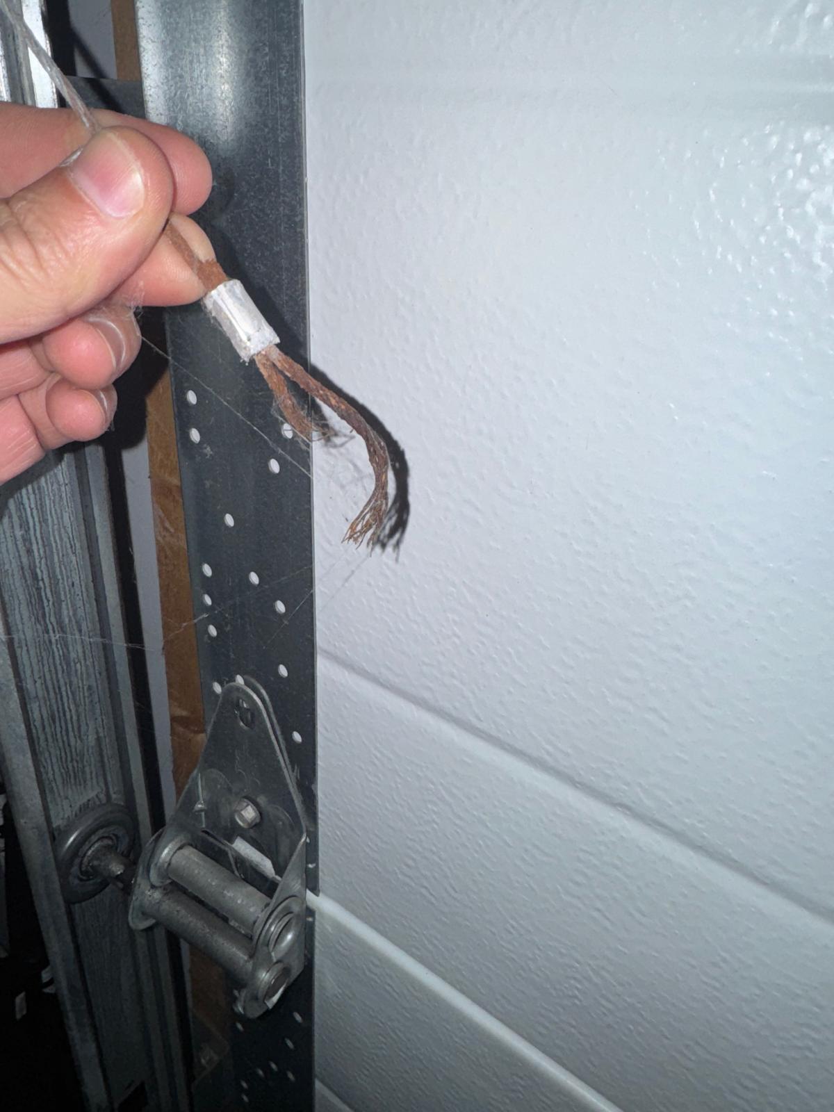 WhatsApp Image 2026-02-09 at 4.13.42 PM